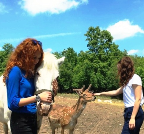 Deer Valley Sensory Experiences, HR